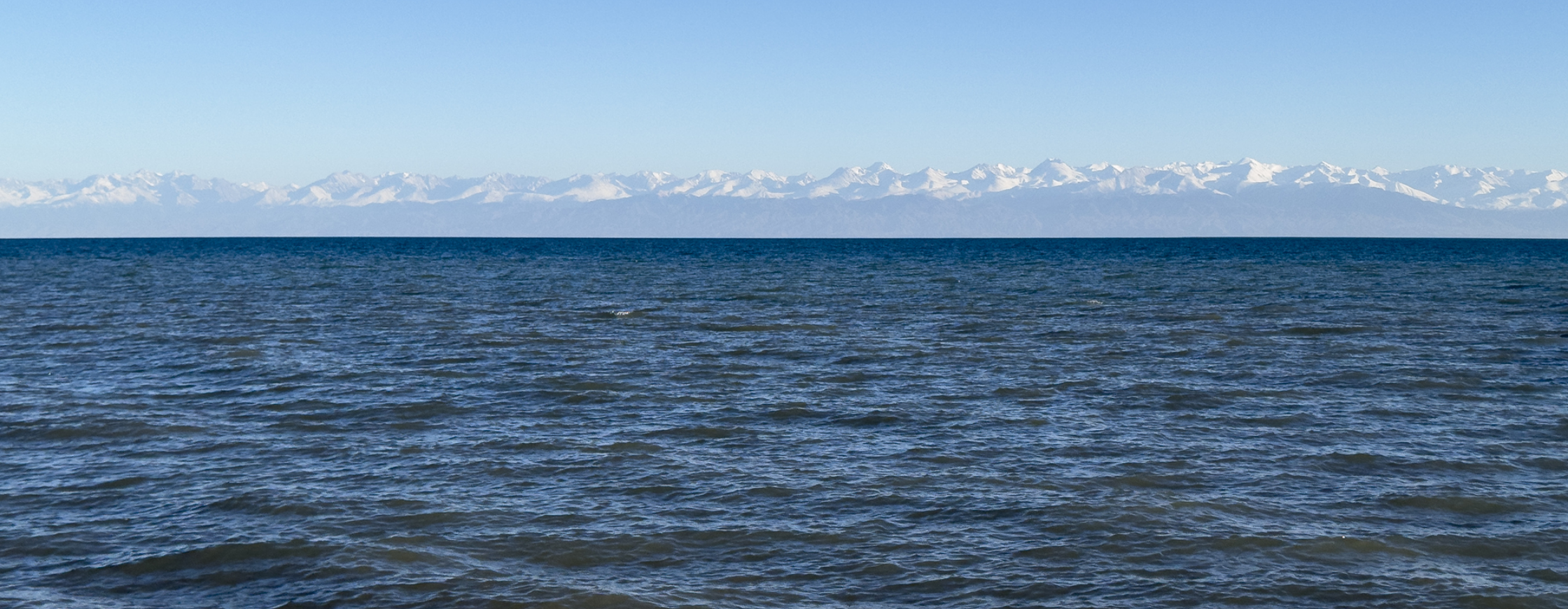 食を通して「持続可能な社会」の実現に取り組む