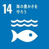 SDG'S 14海の豊かさを守ろう