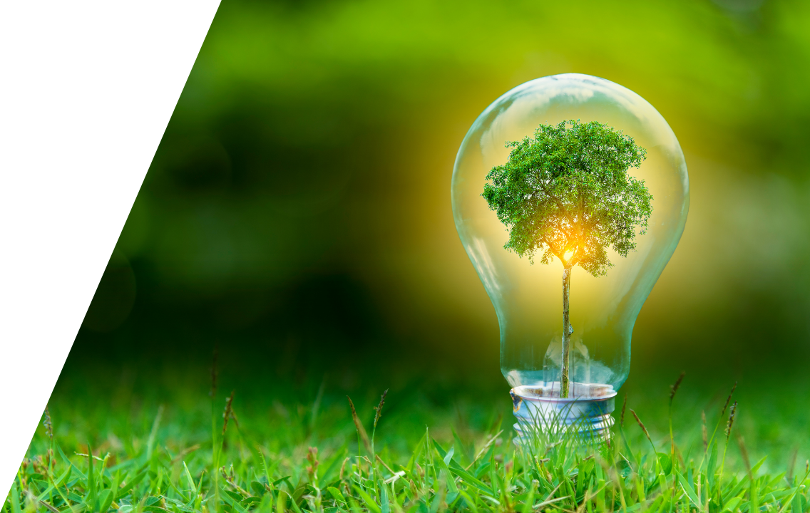 ２.地球環境への対応